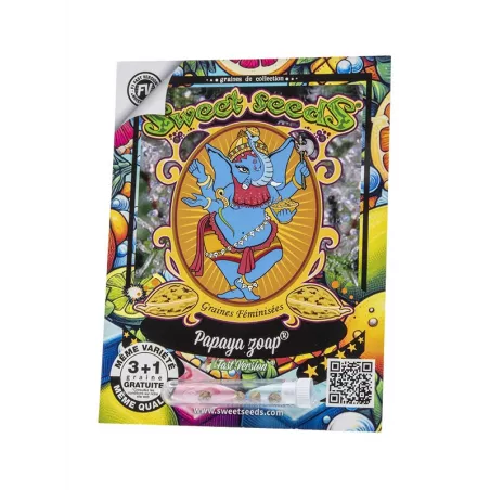 Papaya Zoap F1 Fast Version - Sweet Seeds