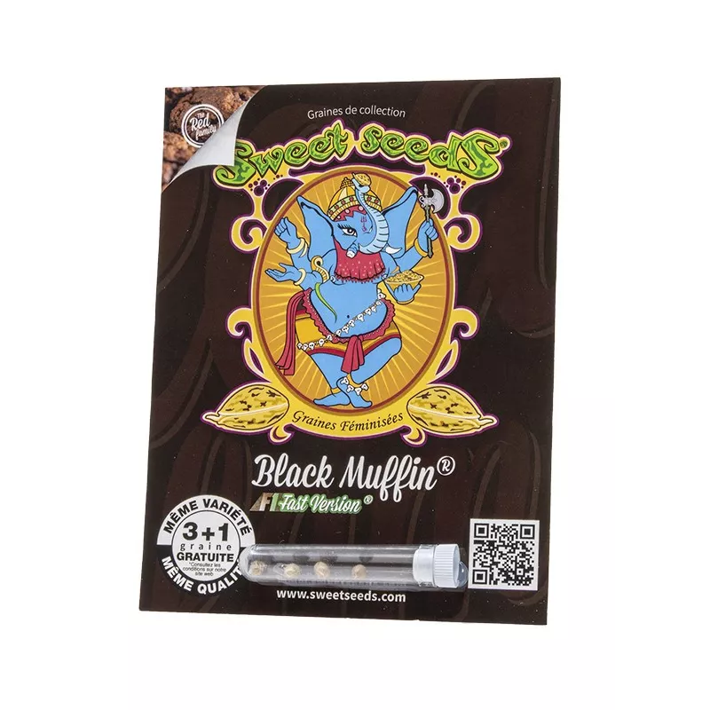 Black Muffin F1 Fast Version - Sweet Seeds