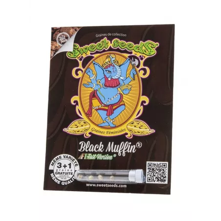 Black Muffin F1 Fast Version - Sweet Seeds