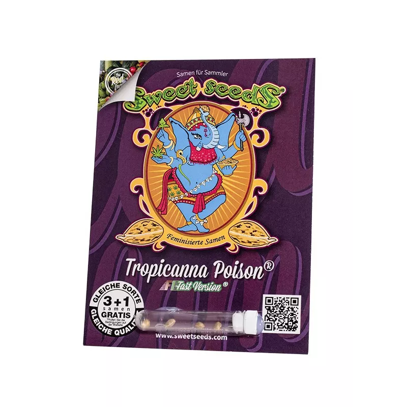 Tropicanna Poison F1 Fast Version - Sweet Seeds
