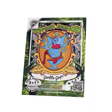 Gorilla Girl F1 Fast Version - Sweet Seeds
