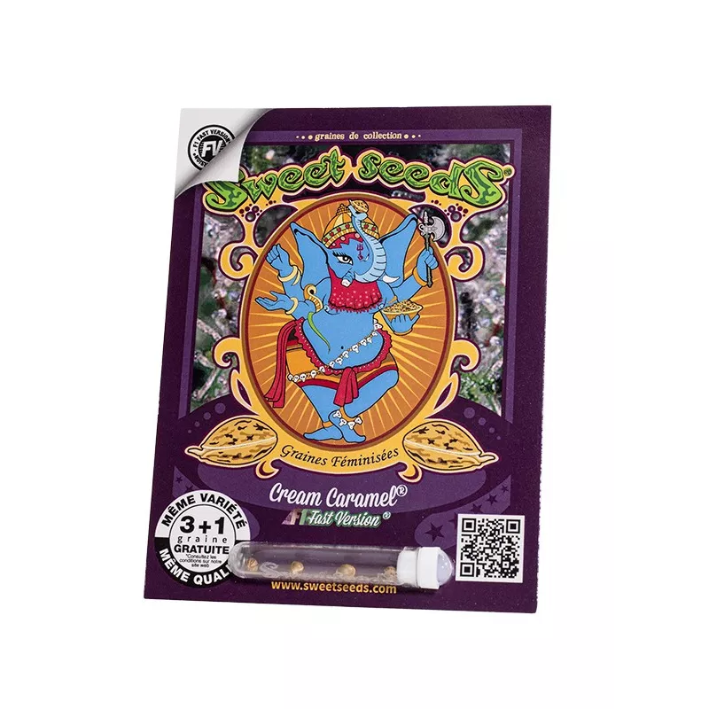 Cream Caramel F1 Fast Version - Sweet Seeds