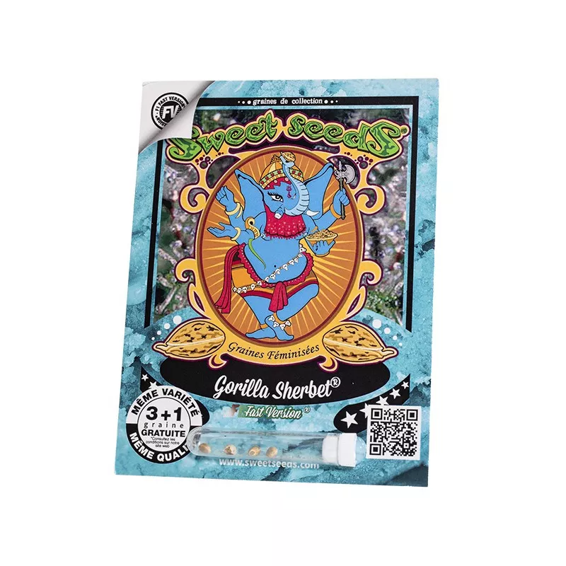 Gorilla Sherbet F1 Fast Version - Sweet Seeds