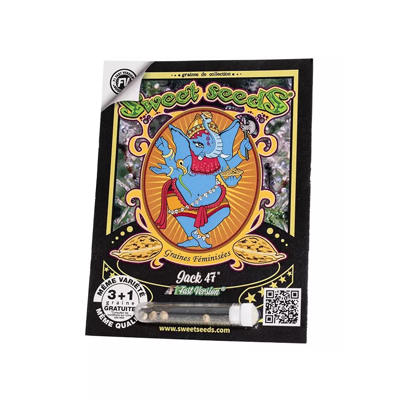 Jack 47 F1 Fast Version - Sweet Seeds