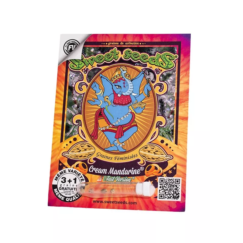 Cream Mandarine F1 Fast Version - Sweet Seeds