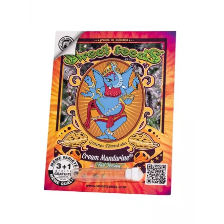 Cream Mandarine F1 Fast Version - Sweet Seeds