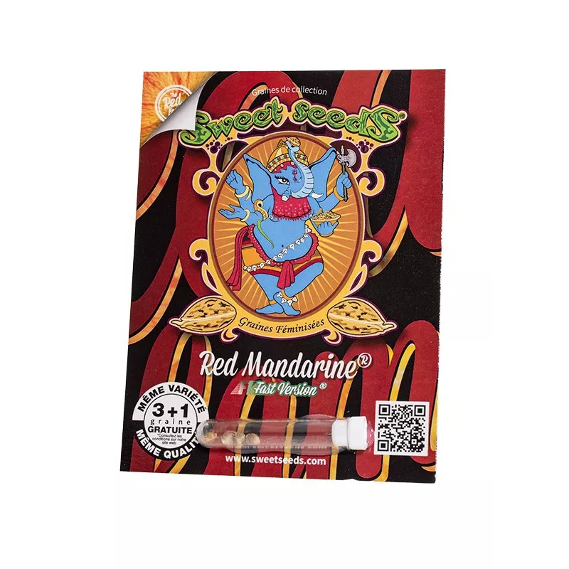 Red Mandarine F1 Fast Version - Sweet Seeds