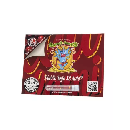 Diablo Rojo XL Auto - Sweet Seeds